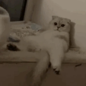 翔田千里代理出产最厉害
