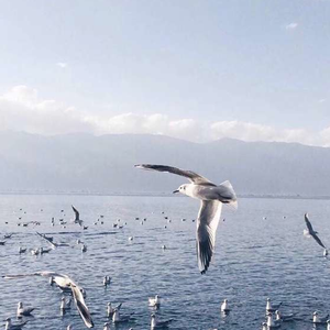 翔田千里代理出产最厉害
